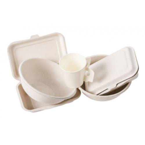 Disposable Tableware